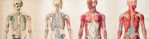 Health & Medicine