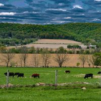 Livestock agriculture in New Jersey