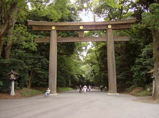 torii: Meiji Shrine