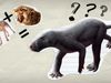 Collage showing a dog plus a saber-toothed cat equaling a prehistoric, quadrupedal creature with thick limbs and dark, hairless skin.