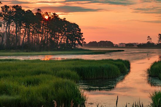 Assateague Island National Seashore