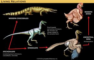 structural relationships
