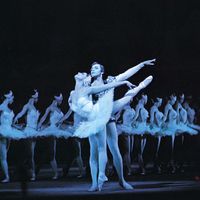 Swan Lake